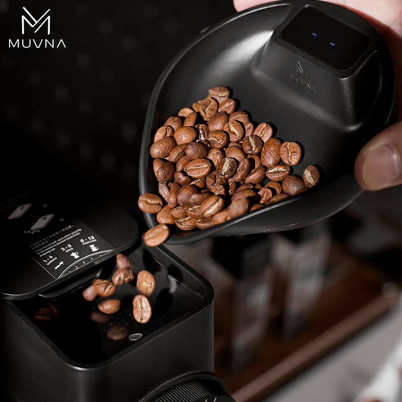 Báscula Digital para Granos de - Coffee Bean Scale reseña y precio